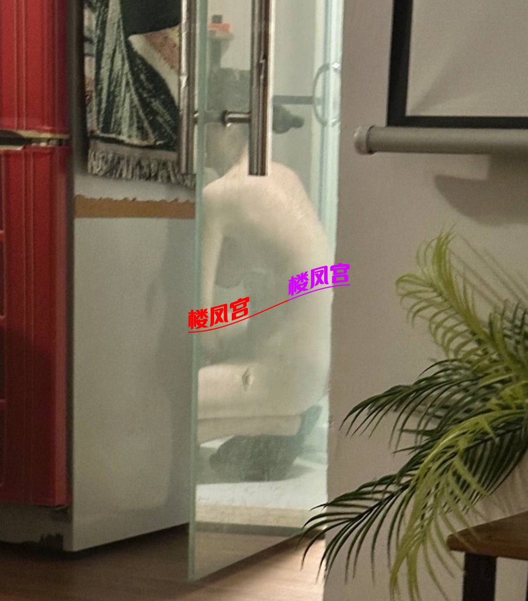 1000021394.jpg