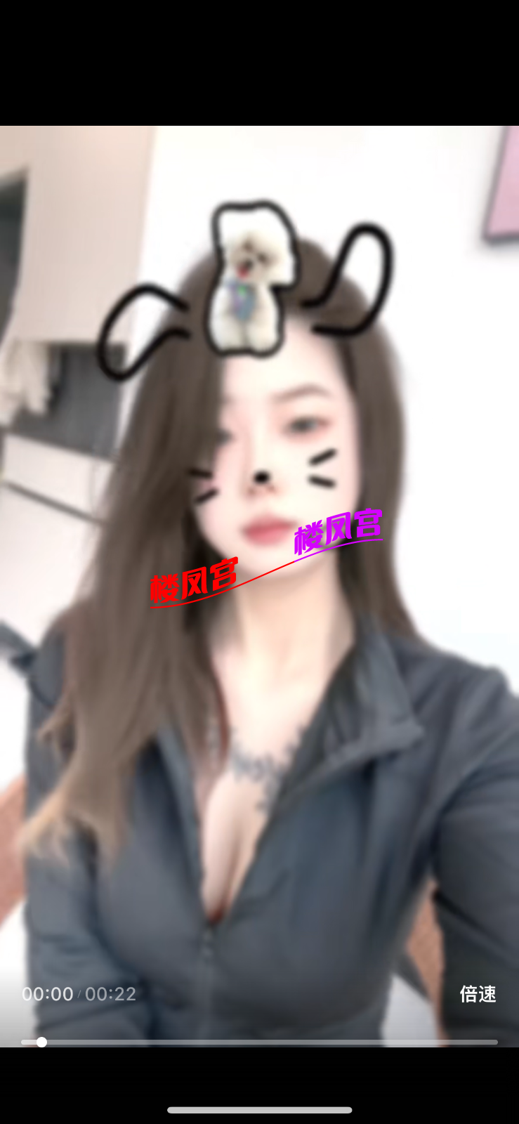 IMG_1456.png