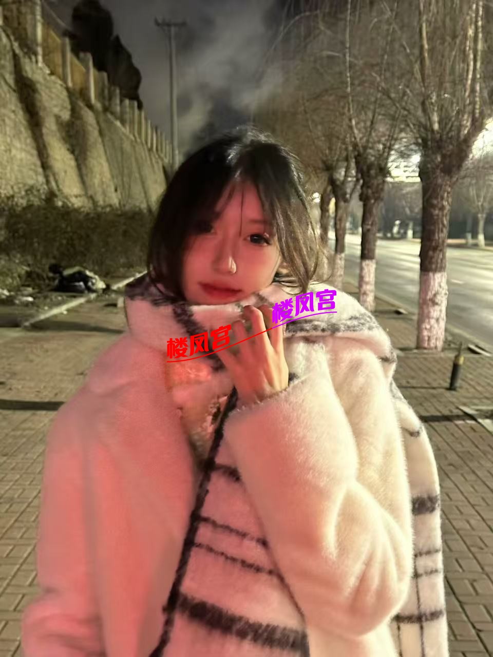 1001761395996_.pic.jpg